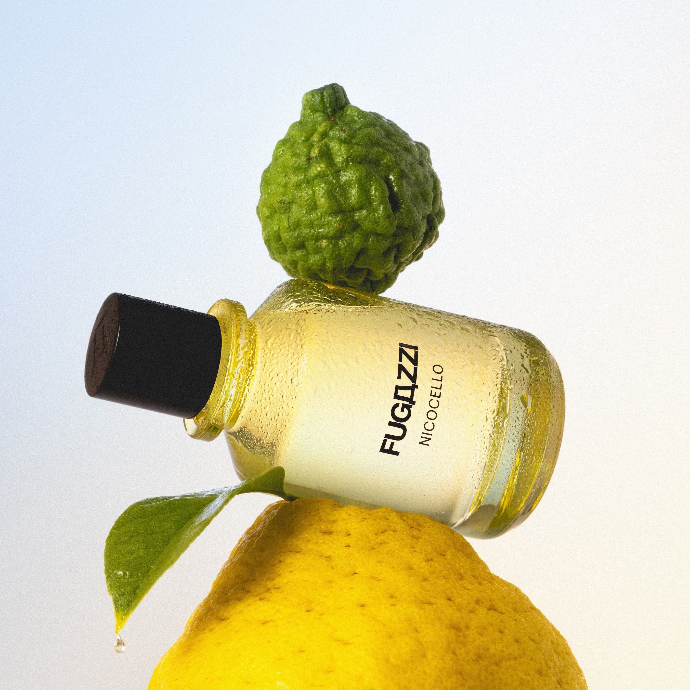 Nicocello Fugazzi Fragrances