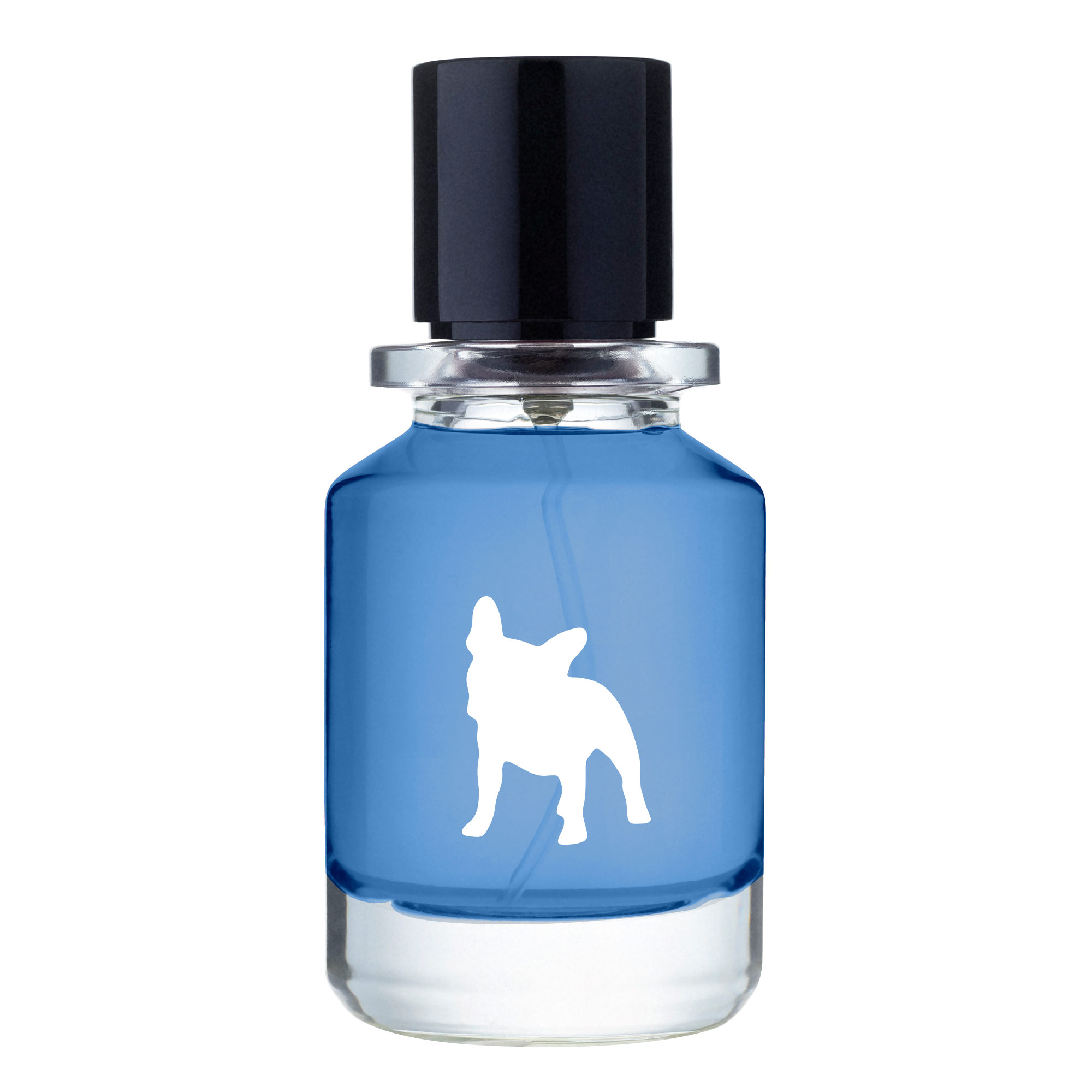 Mood Swings Fugazzi Fragrances