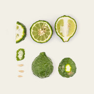 Calabrian Bergamot