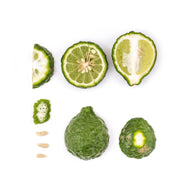 Bergamot 