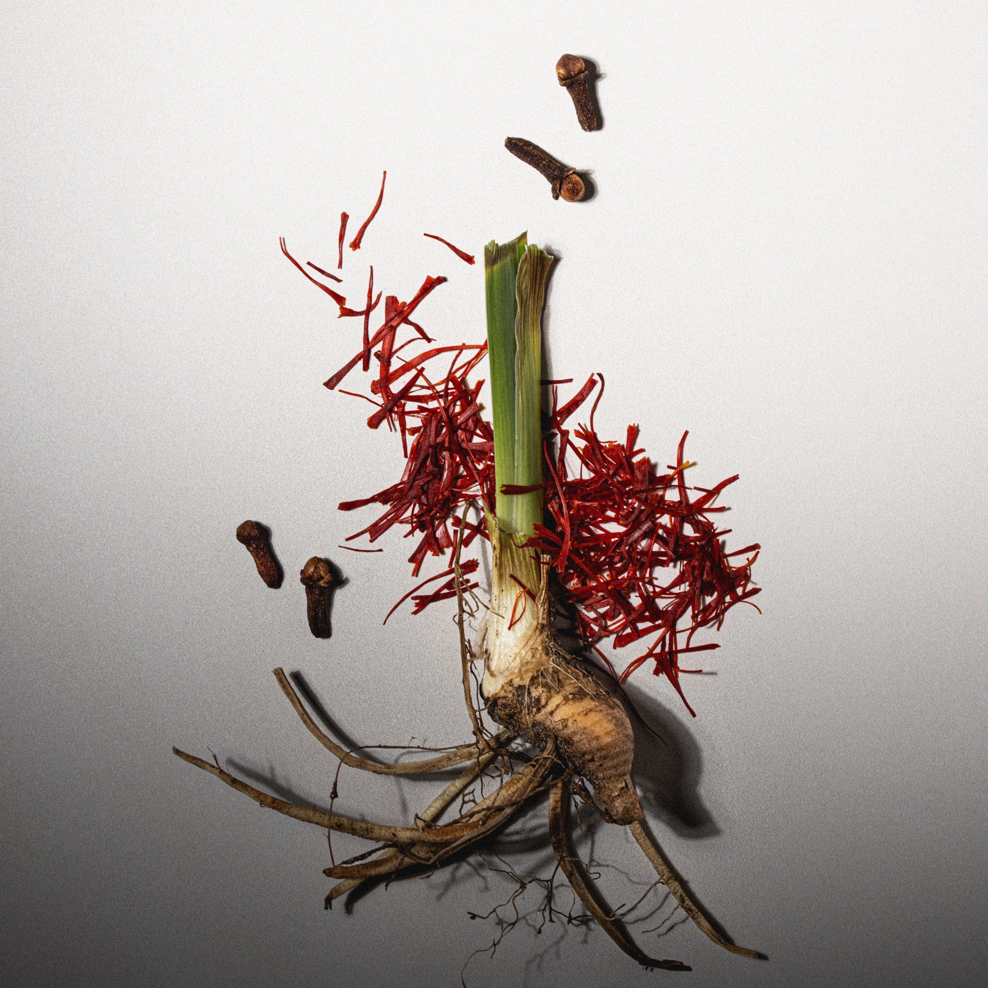 Safranal Ambroxan Fugazzi Fragrances