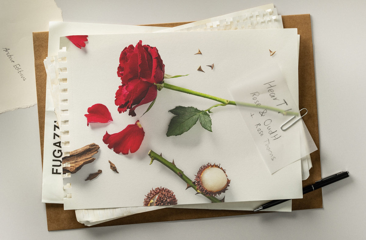 FUGAZZI Archives campaign photo – placeholder