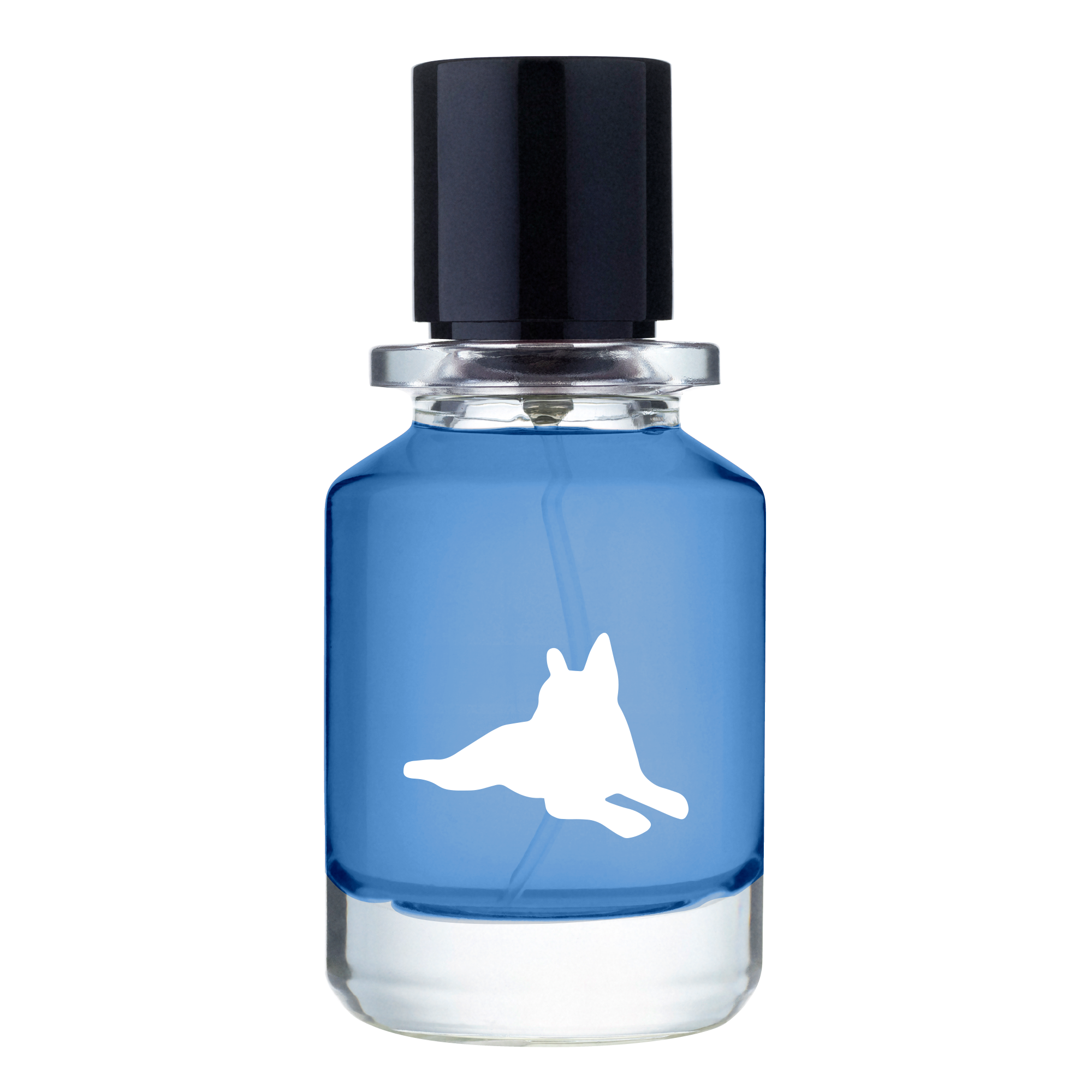 Mood Swings Fugazzi Fragrances