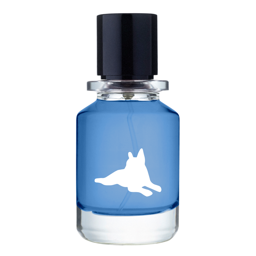 Mood Swings Fugazzi Fragrances