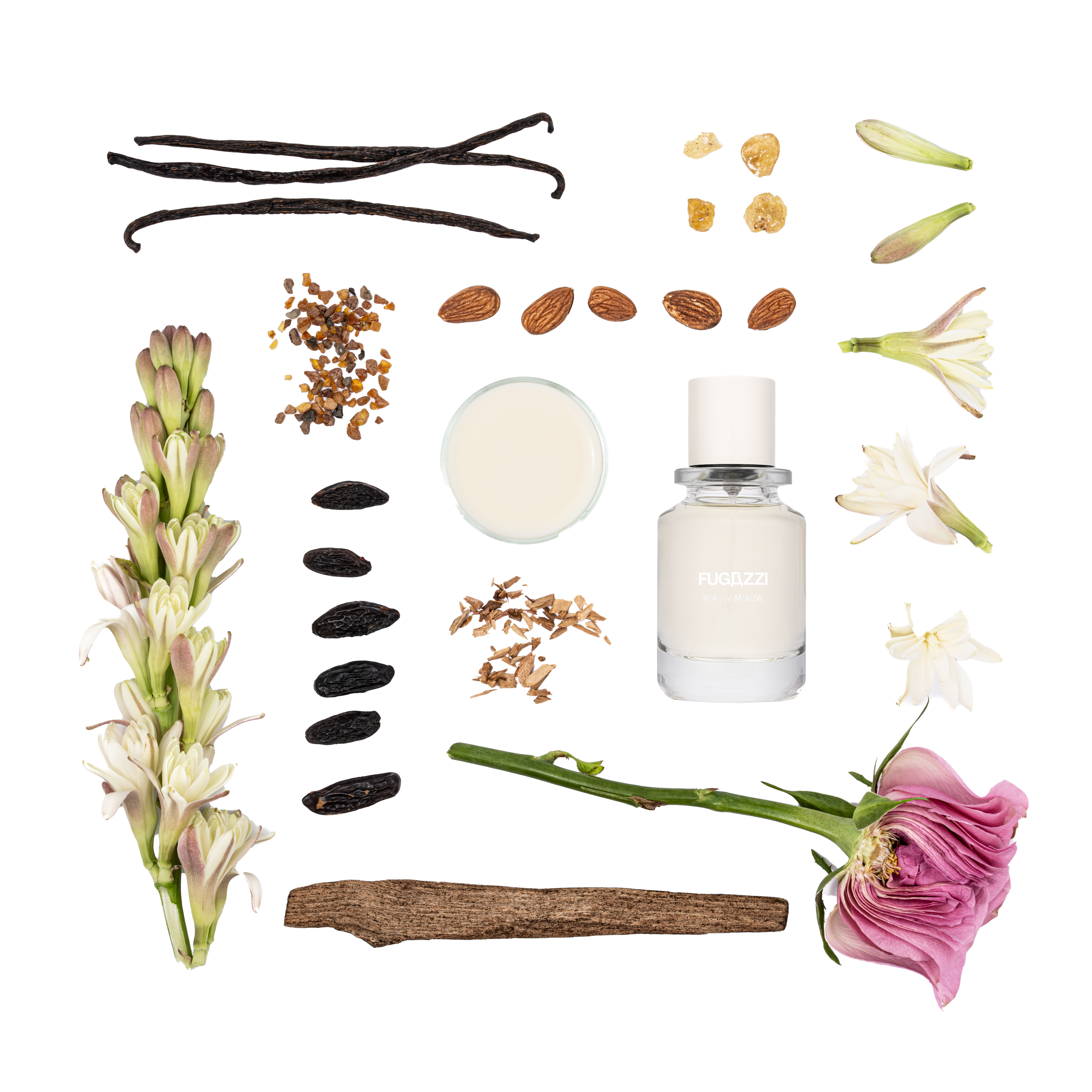 Miauw Miauw 2ML Fugazzi Fragrances