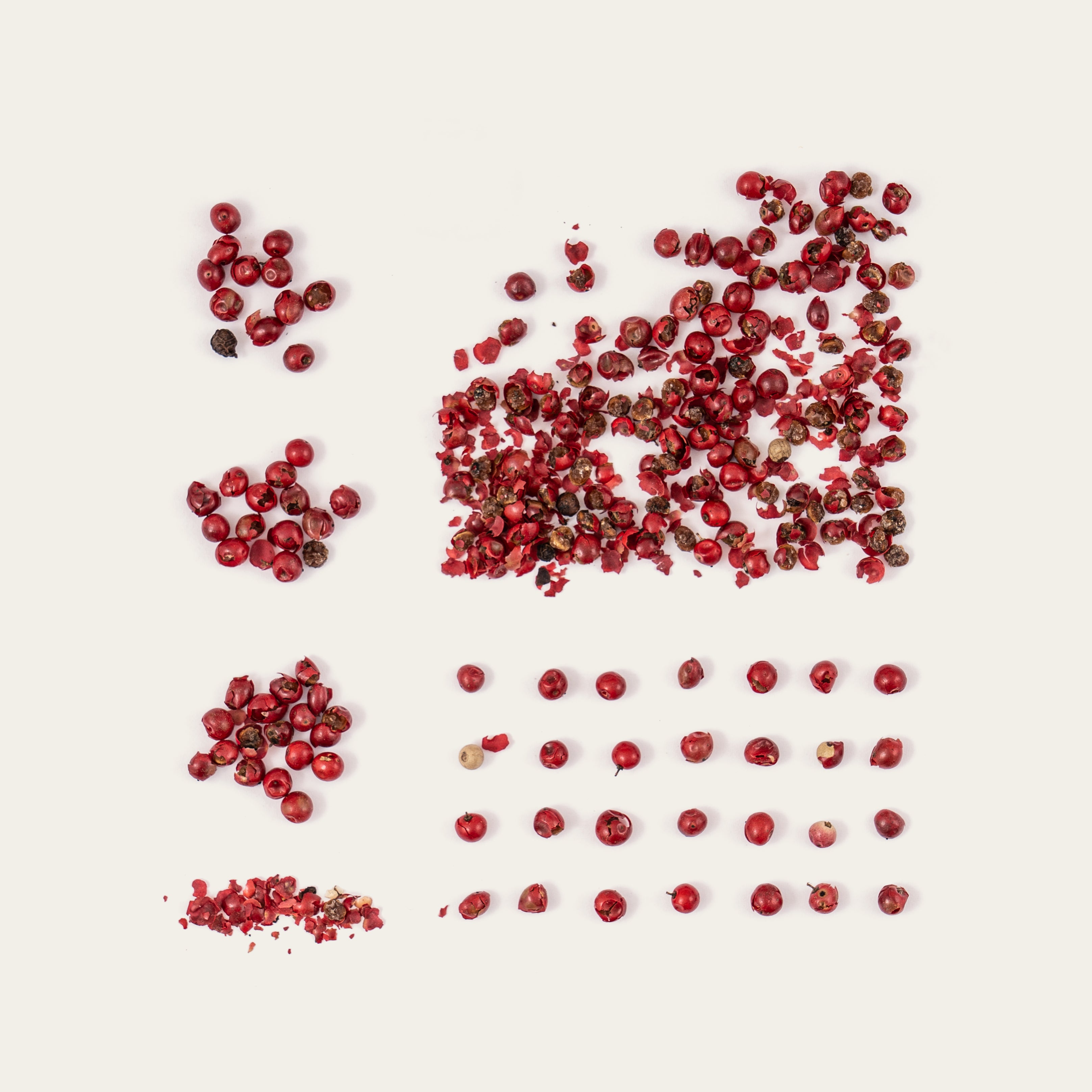 Pink_Pepper-1_Dve-Photography_kopie_f8ed2d39-db3a-433c-9019-09499a33f874.jpg