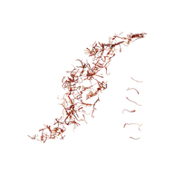 Saffron