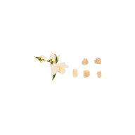 Vanilla