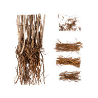 Vetiver