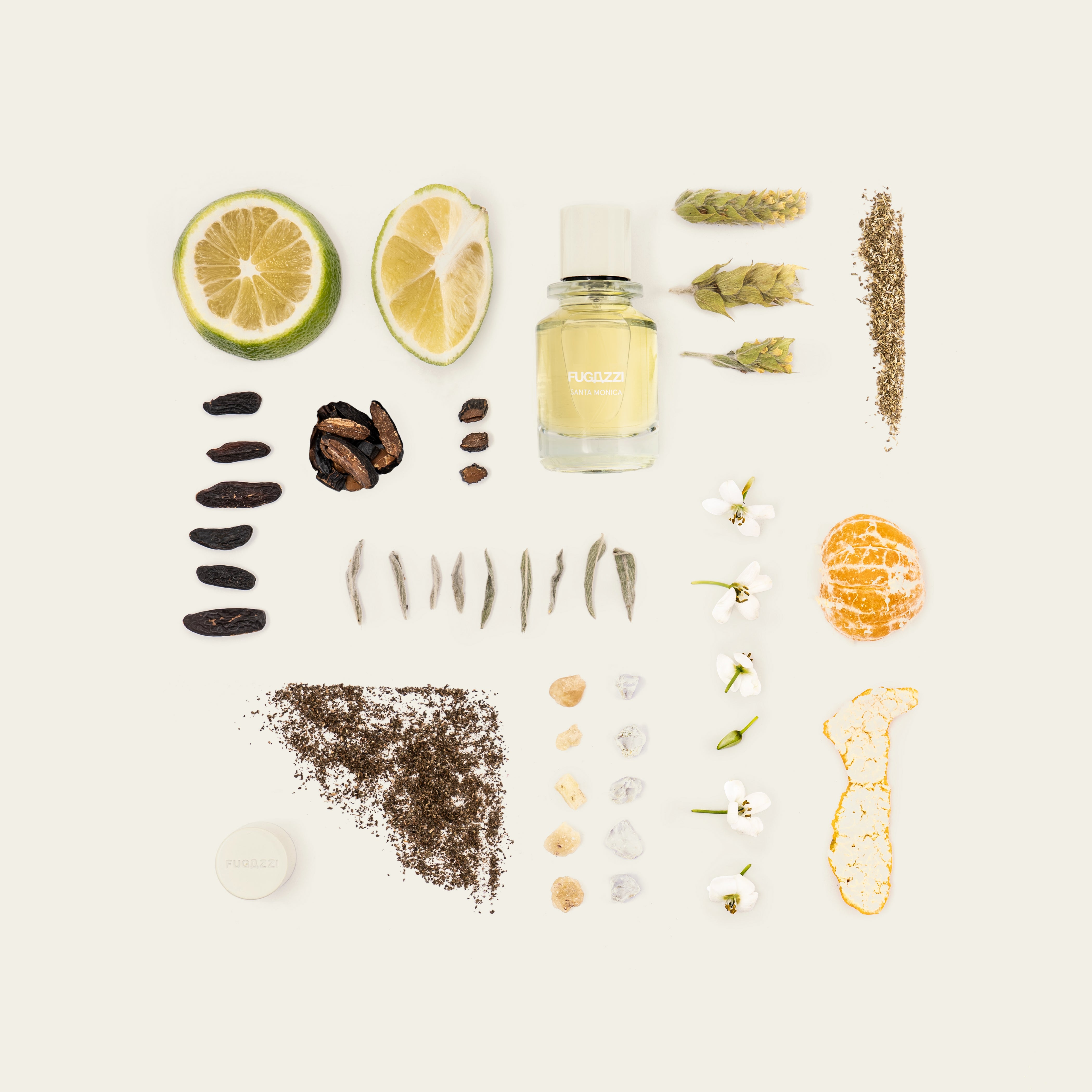 Santa Monica | Eau de Parfum | Fugazzi Fragrances